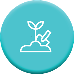 مکمل خاک جامد